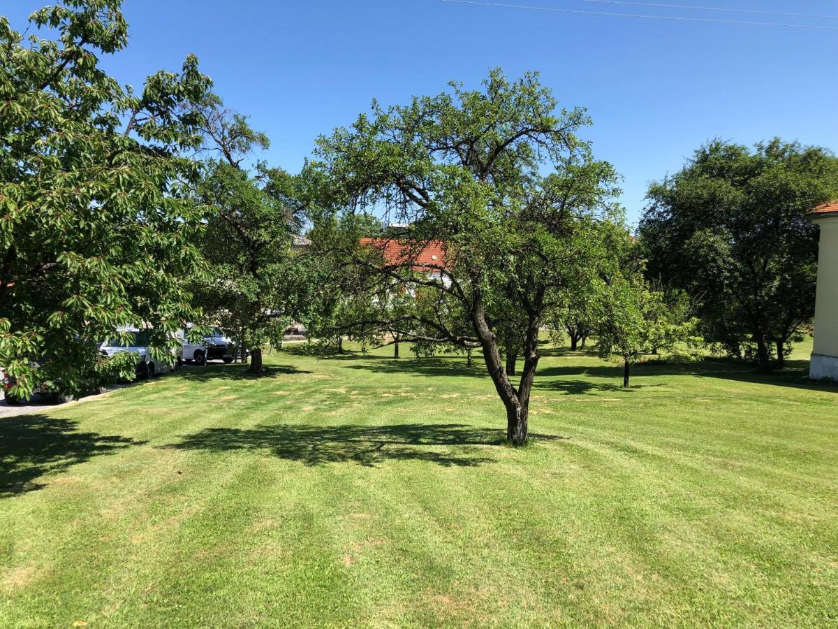 Gasthof Koller Mariasdorf Dış mekan fotoğraf