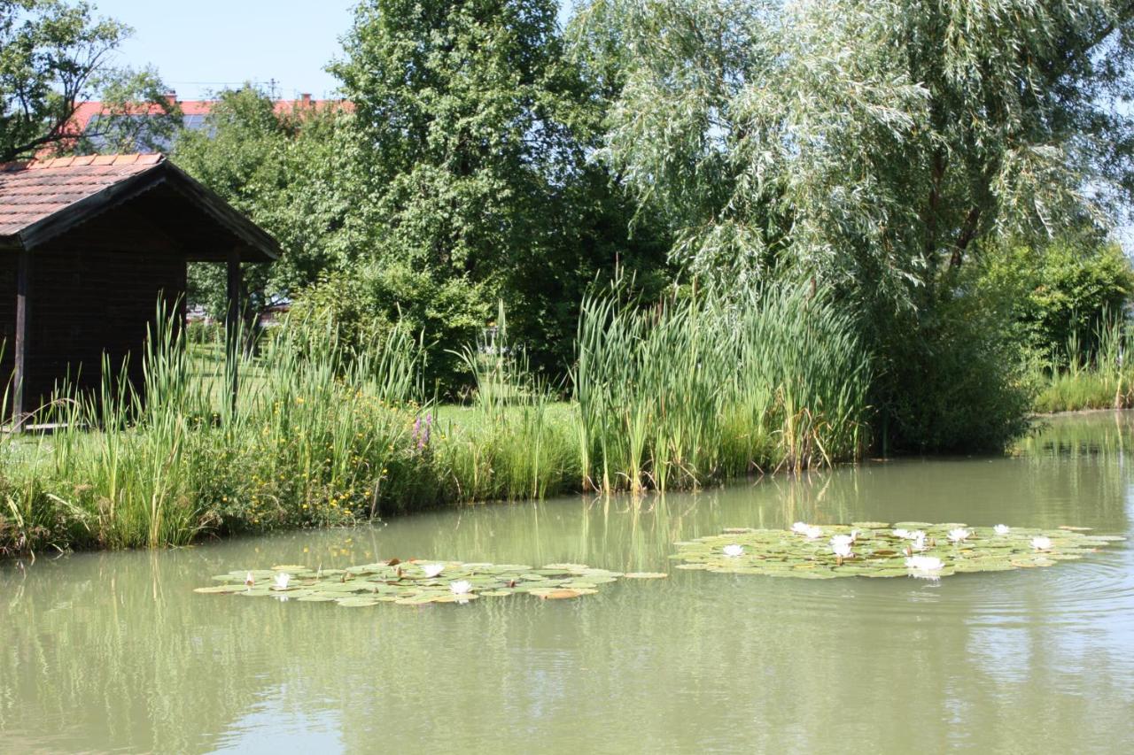 Gasthof Koller Mariasdorf Dış mekan fotoğraf
